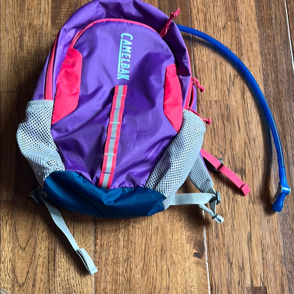 CamelBak Purple and Pink Backpack with Blue Tube